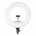 DIGITEK DPRL 19H Professional LED Ring Light Runs on AC,DC Power with No Shadow apertures, Ideal use for Makeup, Video Shoot, Fashion Photography
