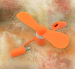 Tech Gear Android and iPhone, Type c, USB Small Portable Hand Fan for Android OTG Smart Phones (1 Pc) ORANGE