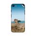 GADGETSWRAP Printed Vinyl Skin Sticker for Apple iPhone SE (2020) - South Africa Leopard