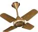 Crompton ARIYABRIZ Prime 0.6M Coral Gold 4 Blades Ceiling Fan