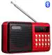 Fangtooth RM-BT615 Bluetooth Fm Radio Supports Headphone Out Multimedia FM Radio