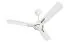 Havells 1200 MM Fan Ambrose BLDC Ceiling Fan Ceiling Fan, Pearl White Wood