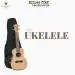 RISINGSTAR UKELELE COVER BLACK HIGH QUALITY PADDED COVER