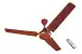 MARC Greene BLDC Ceiling Fan | 1200 MM Ceiling Fan for Home | White 5 Star 1200 mm 3 Blade Ceiling Fan | 2 Year Warranty | Pack of 1, Brown