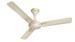 Havells 1200 MM Fan Milor BLDC Ceiling Fan Ceiling Fan, Gold