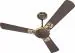 Havells 1200Mm Enticer Art Ns Flora Espr. Brown