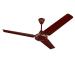 Bajaj Speedster 3 Blade 1200 MM Ceiling Fan, Brown