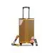 TRUVISON WTS_DJ DJ-SOUNDBANK GOLD Wooden Party Trolly Speaker | Portable Multimedia Bluetooth Speaker USB, SD, TF, AUX, System with 2 Gold UHF MIC, Remote Control, FM, Guitar Input, Golden