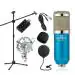 Powerpak BM 800 Blue Foam Condenser Microphone With Stand Pop Filter Sound Card Shock Mount