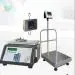 Essae Weighing Scale Solutions | Weighing Beyond Limits