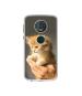 Casotec Cute Kitten DesignPrinted Silicon Soft TPU Back Case Cover for Motorola Moto G6 Plus