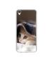 Casotec Sleepy Kitten Design Printed Silicon Soft TPU Back Case Cover for Oppo F1 Plus