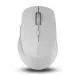 Rapoo M300 Light Grey Optical Silent Wireless Mouse 1600 DPI Sensor 9 Months Battery Life Quiet Buttons Ergonomic for Right-Handed PC and Mac (10.4 x 6.6 x 3.7 cm)