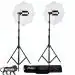 Prolite Extra-Heavy-Duty Porta Kit (14 feet) with Pair of Light Stands, Porta Lights and Umbrellas Professional Studio Setup