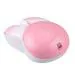 iBall Wireless Mouse Grabit Stylish and Shiny Finish I 2.4GHz High Speed I1600 Dpi Speed I Magnetic Battery I Auto Power Saving - (Pink)