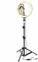 Webilla 10 Inch Ring Light Metal Tripod Stand