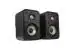 GRALA40 Polk Audio ES10 Black Woofer