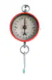 APNA KANHA Raja 100 kg Commercial Hanging Weighing Scale