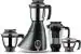 Butterfly Stainless Steel Gray, White Matchless Mixer Grinder, 750W, 4 Jars