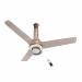 Havells Crista Underlight BLDC 1200mm Ceiling Fan | Remote Controlled, Smart Fan, IoT Enabled, Alexa & Google Home Compatible | 5 Star Rated, 2 Year Warranty by havells |pack of 1 (Champagne Cola)