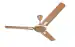 MARC Bonita Ceiling Fan | 900 MM Ceiling Fan for Home | High Speed | Designer | Rust Proof Blades | Energy-Saving Technology | 48 inch | 2 Year Manufacturer Warranty | Pack Of 1, Birken Metallic Gold