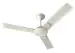 Havells Enticer ES 1200mm Ceiling Fan (Pearl White Gold, Pack of 1)