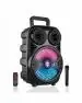 Tronica CARWAAN 30W Portable Wireless Bluetooth Karoke Party Speaker with Remote/Aux/FM/Pa System/Rechargeable Battery & Wireless Mic