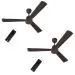 CG Eco 28 | 1200mm Ceiling Fan | BEE 5 Star | BLDC | High Air delivery | Wider Blades | Anti-rust | Upto 65% Energy Saving | with RF Remote (Pack of 2 - Smoke Brown)