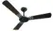 Havells Enticer Art ES 1200mm Ceiling Fan (Metallic Black Chrome, Pack of 1)