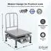 iScale i-23, 100kg x 10g Portable/ Mobile Scale with Double Display & Handle, MS Pan, 16x16