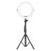 Digitek (DRL 12C) Professional (12 inch) LED Ring Light with 5 feet Tripod Stand for Mobile Phones & Camera, 3 Temperature Mode Dimmable Lighting, Photo-Shoot, Video Shoot, Makeup & More