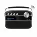 Saregama Carvaan 2.0 Hindi Portable Music Player 5000 Pre-Loaded Songs with Podcast, FM/BT/AUX (Classic Black)