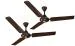 DIGISMART APSRA 390 RPM High Speed 1200 mm Ceiling Fan Pack of 2 ( BROWN )