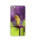 Casotec Little Bird Design Printed Silicon Soft TPU Back Case Cover for LeTV Le 1S 