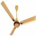 Quassarian Golden Metal Anti Dust Ceiling Fan For Home, Office And Shop