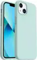 Speeqo Silicone Mint Green Back Cover For Apple Iphone 13
