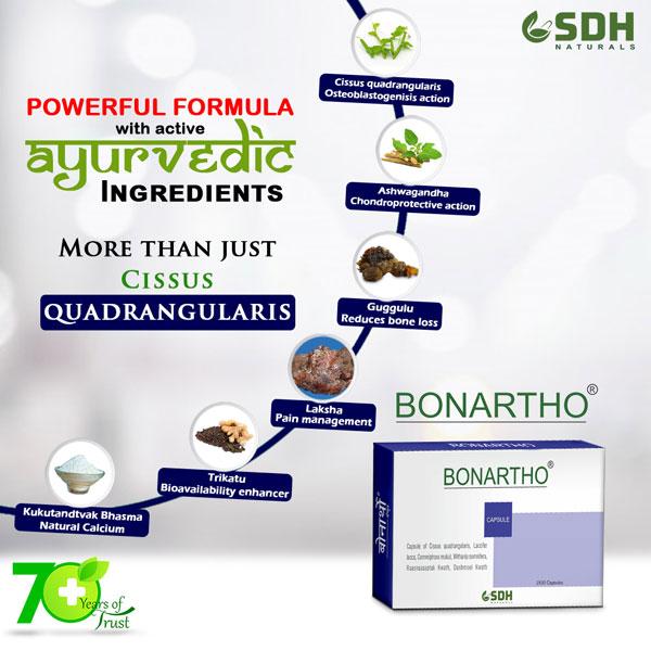 Buy Shree Dhanwantri Herbals Bonartho Capsule (Pack of 2 x 30's