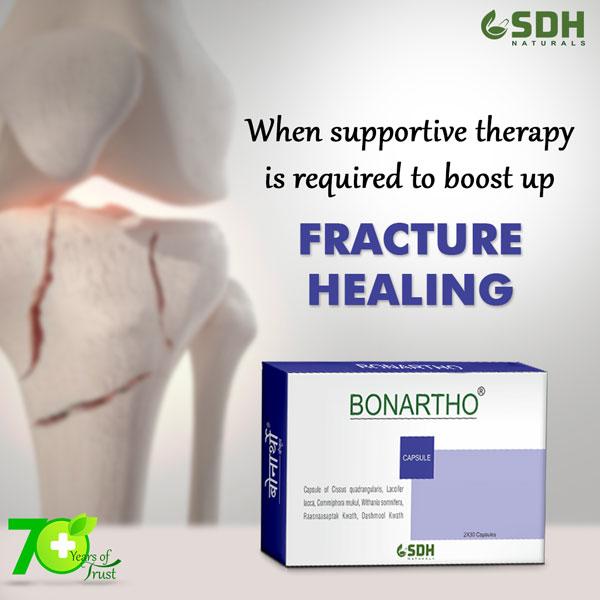 Buy Shree Dhanwantri Herbals Bonartho Capsule (Pack of 2 x 30's