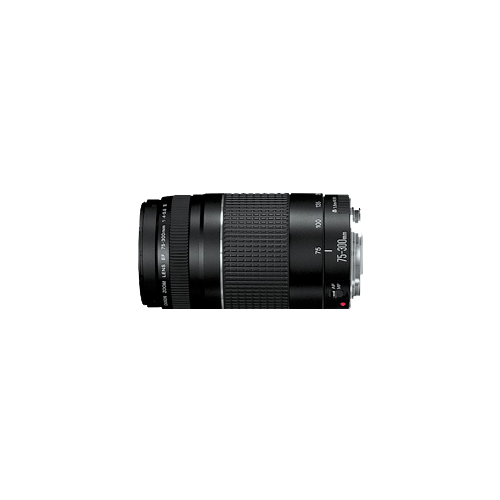 Canon Ef75 300mm F 4 5 6 Iii Usm Jiomart