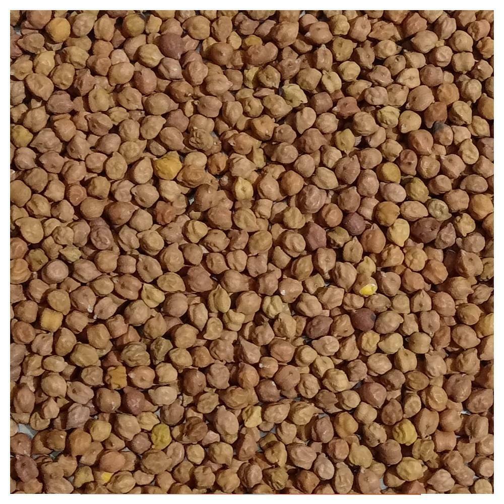 good life grocery india