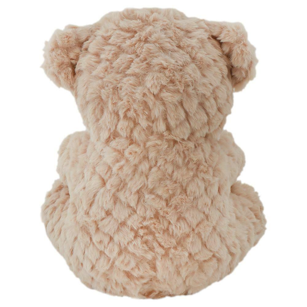 Buy Funzoo Max Teddy Stuffed Soft Toy (25 cm) Online at Best