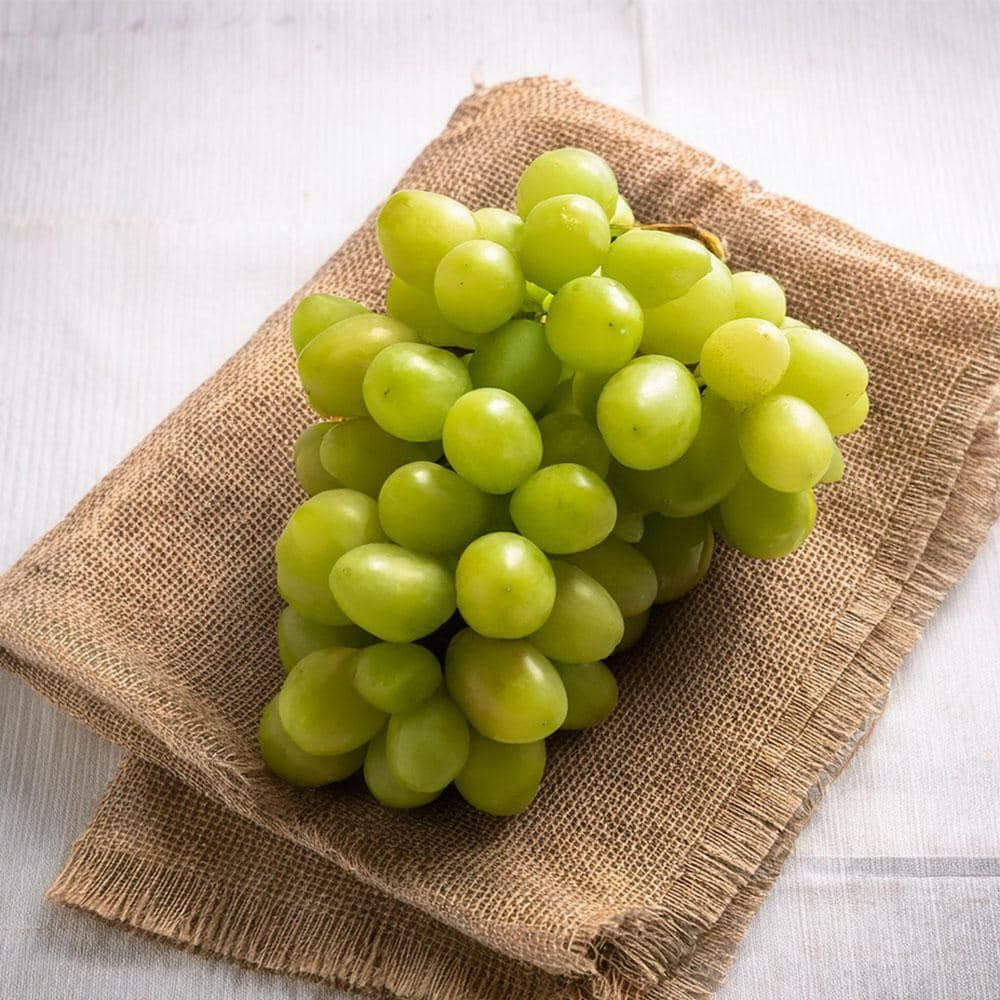 Buy Grapes Green (Pack) (Approx 450 g- 500 g) Online at Best