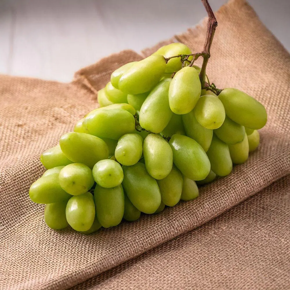 Buy Sonaka Seedless Grapes 500 g Online at Best Prices in India