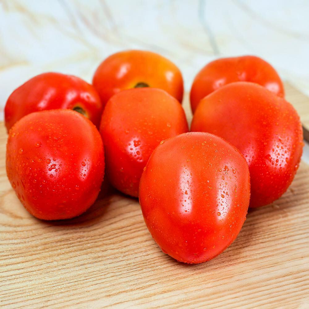 Buy Tomato 1 kg Online at Best Prices in India - JioMart.
