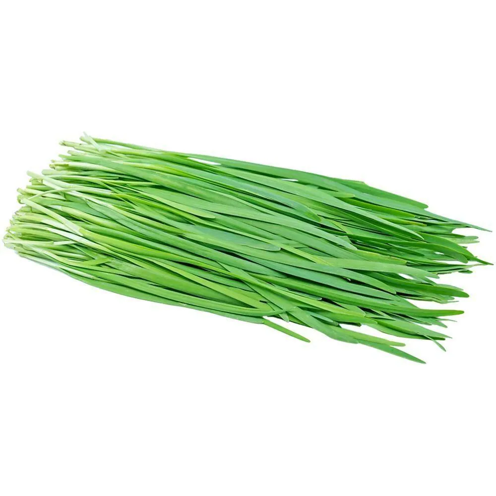 Garlic Chives