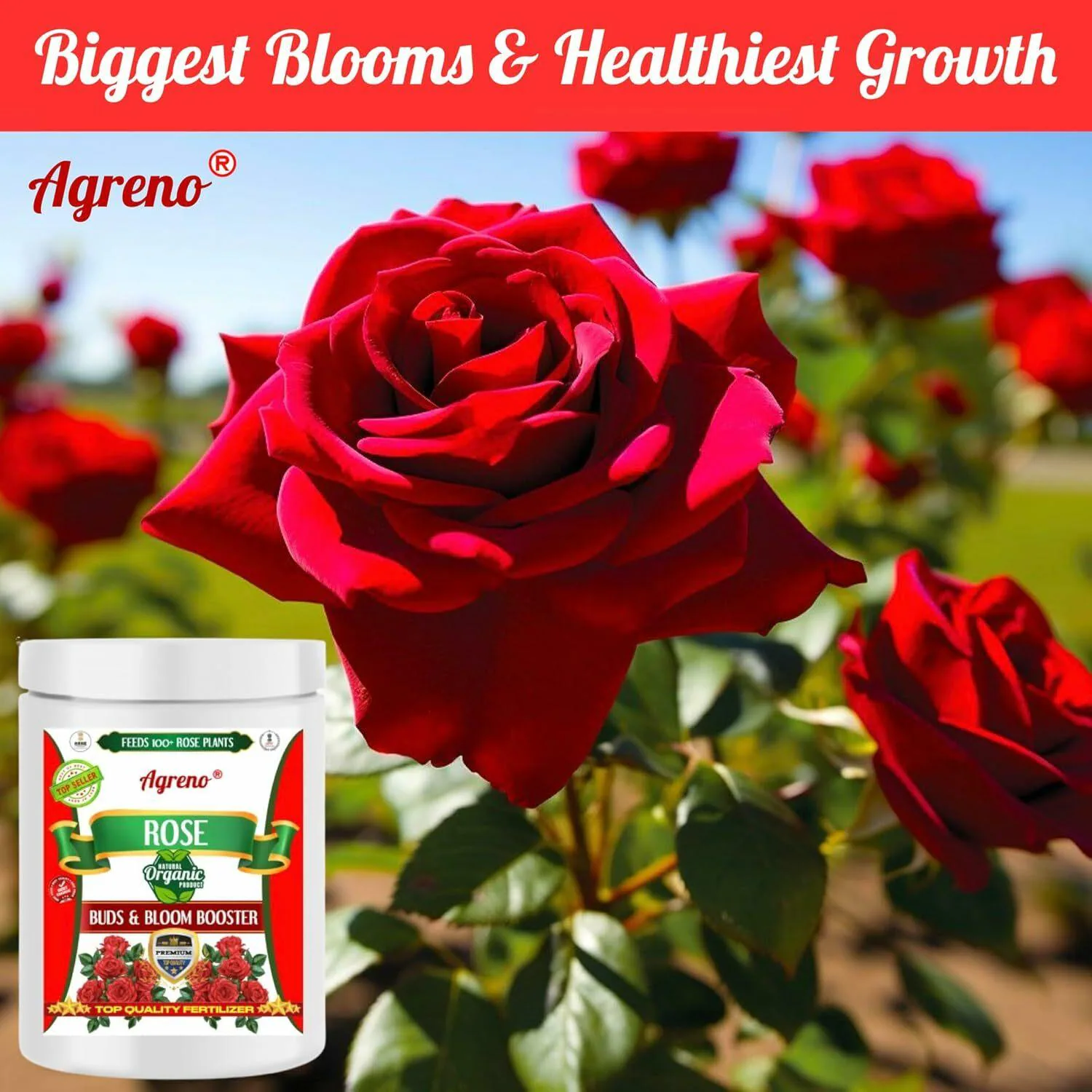 Buy Agreno Rose Buds and Bloom Booster, Essential Organic Powerful