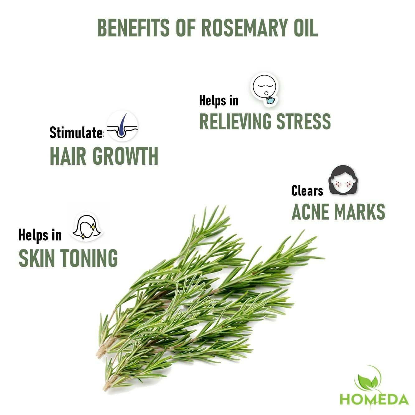 Homeda Rosemary Essential Oil (15 ml) for Hair Growth - Pure Rosemerry Oil  For Hair, Skin, Face, Body, Rosemarry essinal, Rose mary - JioMart
