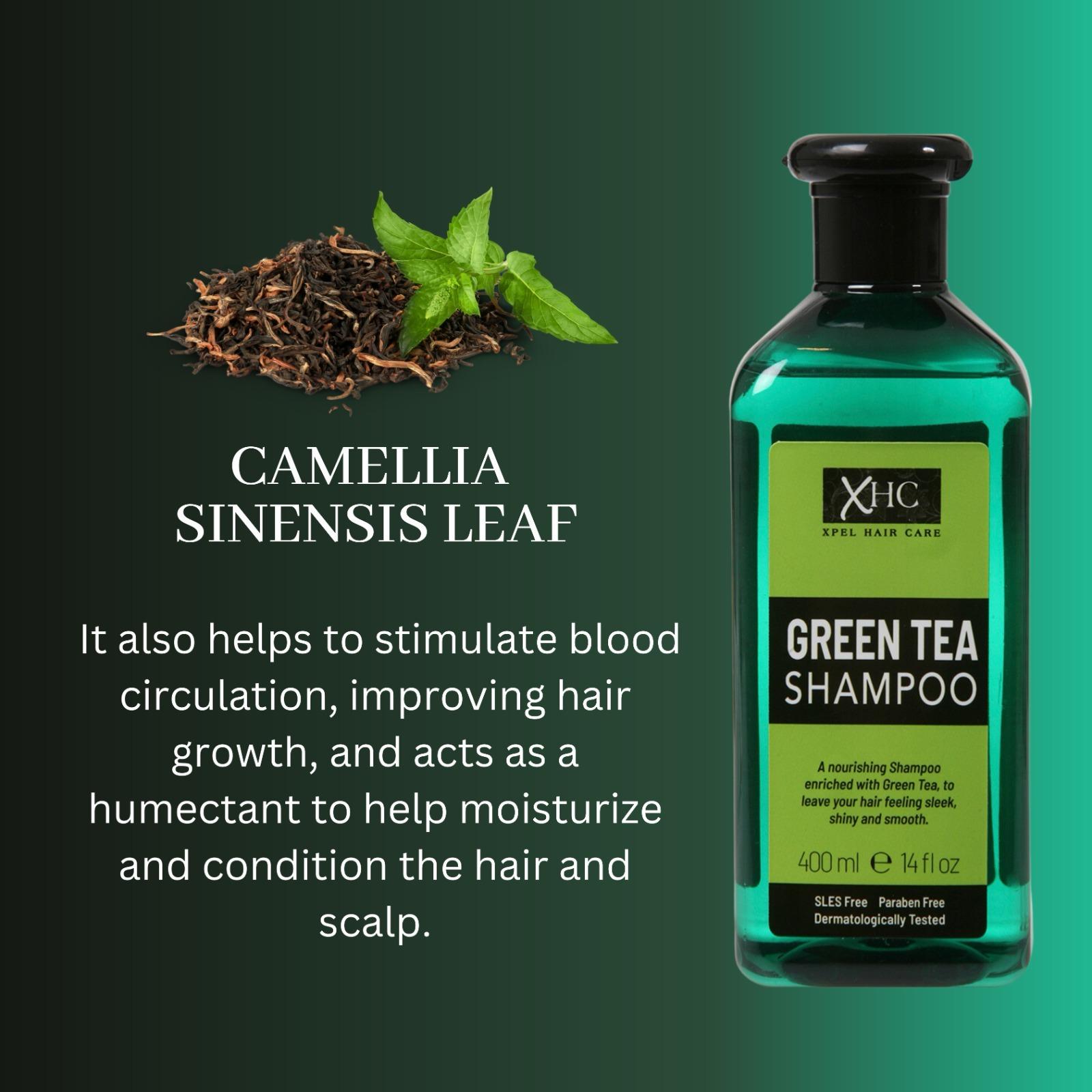 Buy Xpel Marketing Green Tea Shampoo With Green Tea Extract & Tea