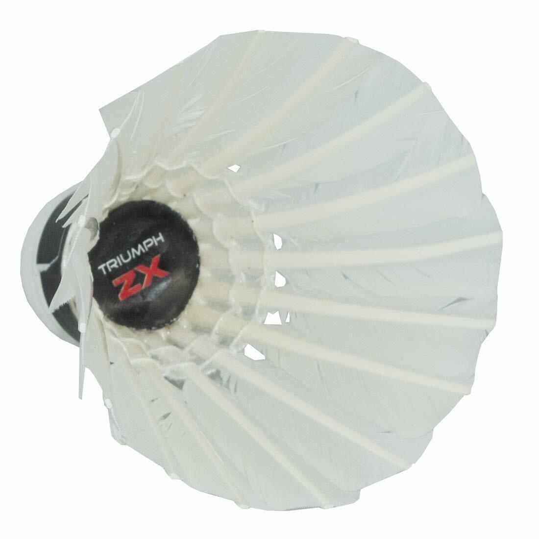 Buy TRIUMPH Badminton Racquet, TRIUMPH Magic Badminton Racket Set