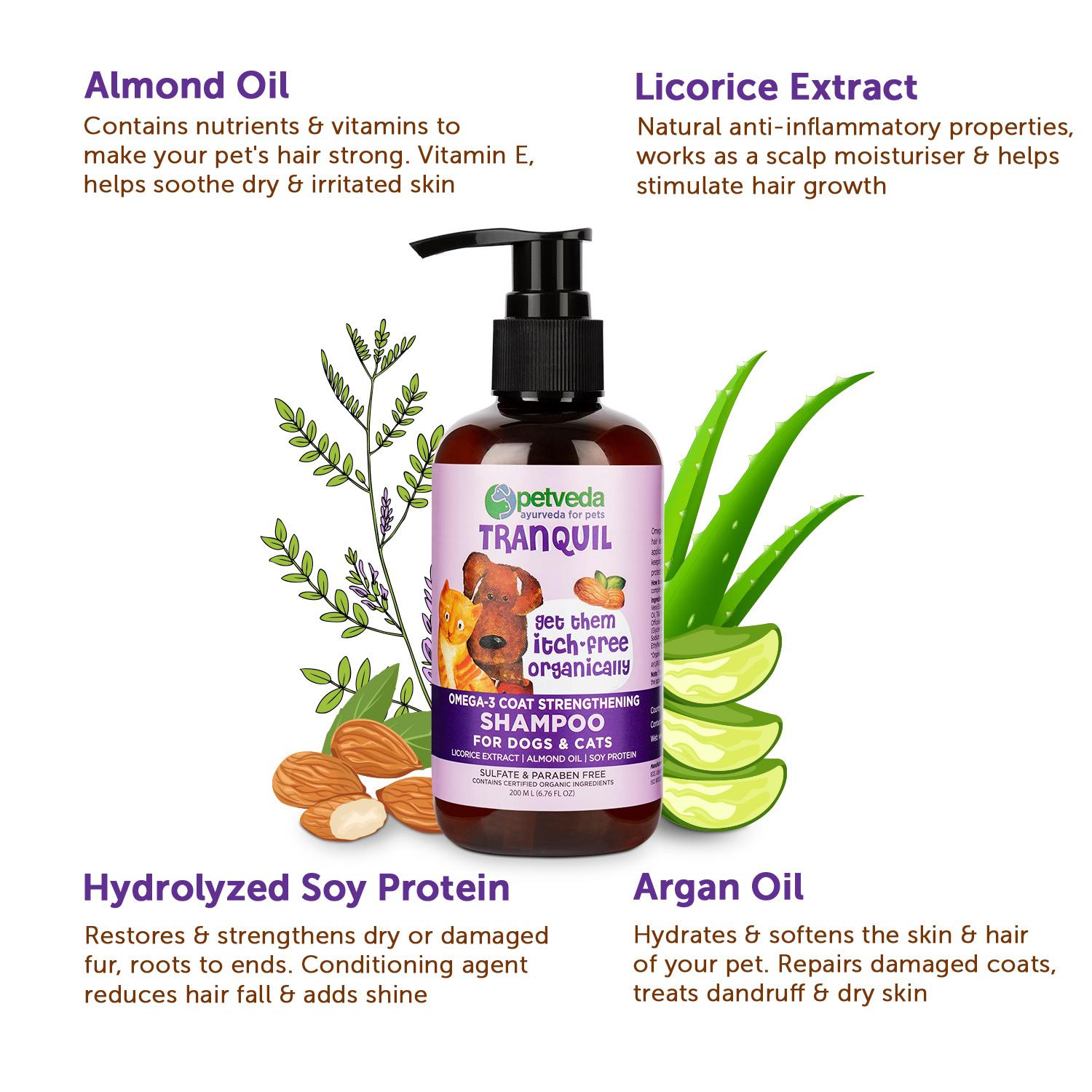 Are Almonds Extract Bad For Dogs